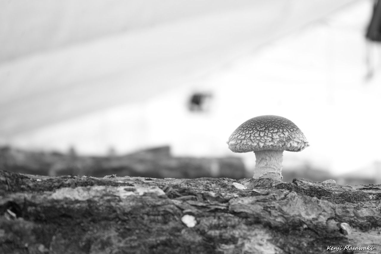 05107