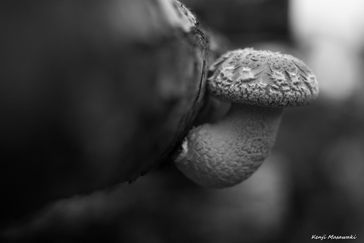 08574