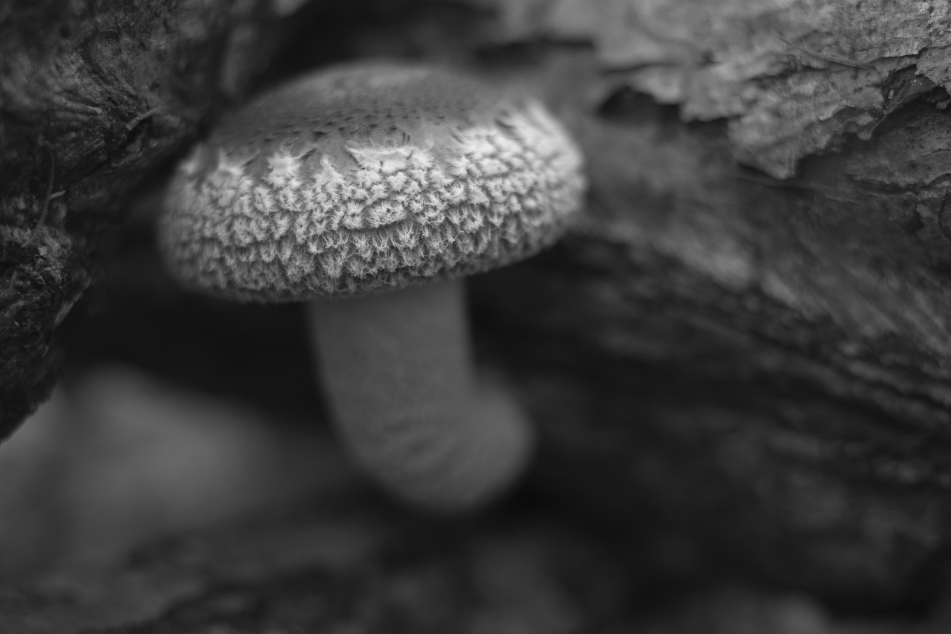 0080