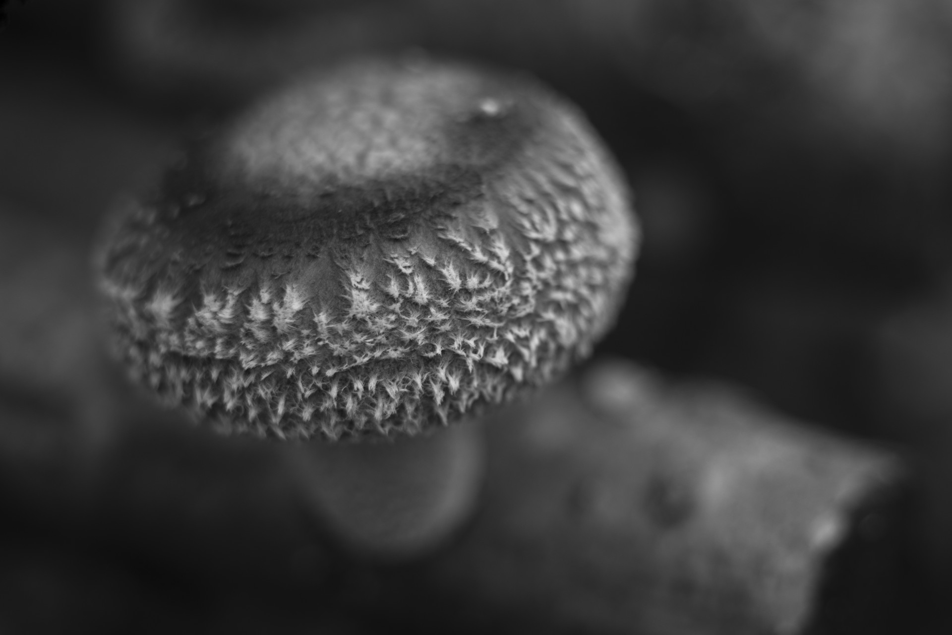 0082
