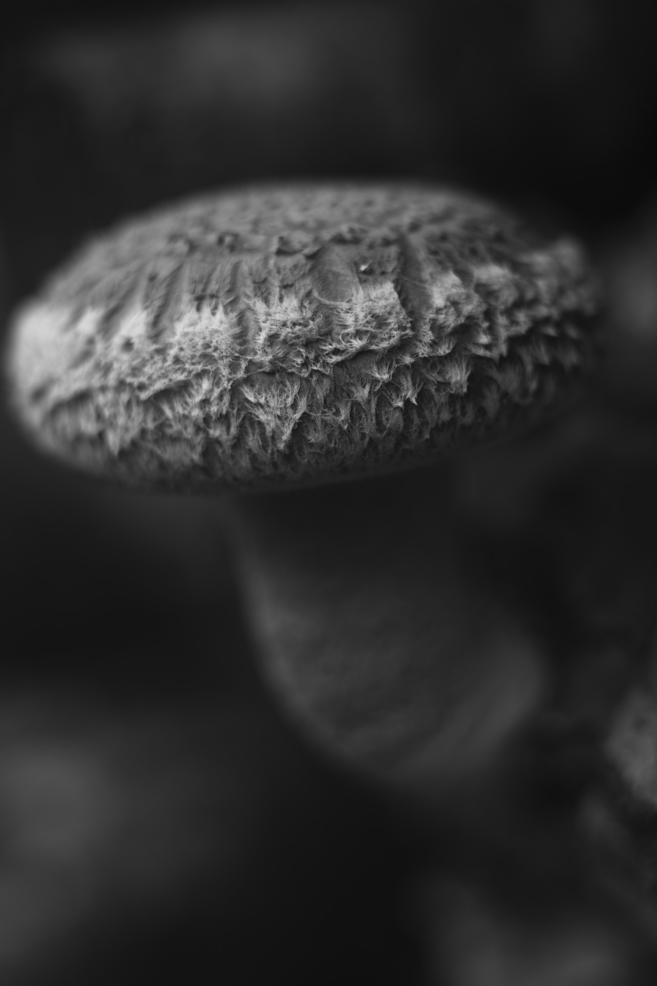 0083