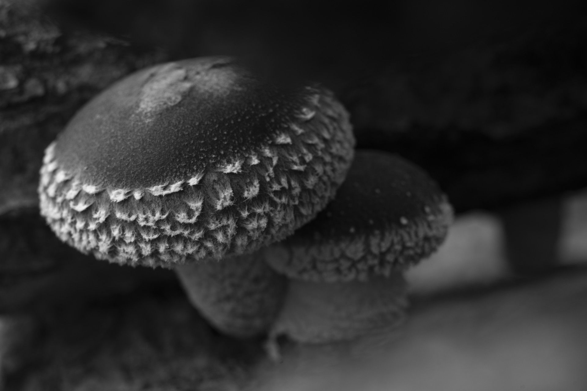0084